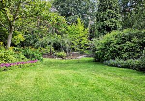 Optimiser l'expérience du jardin à Saint-Romans-les-Melle